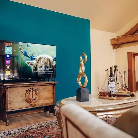 Magnificent Historical Penthouse In The Heart Of Praha