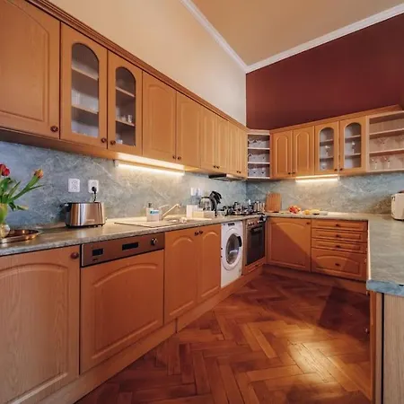 Magnificent Historical Penthouse In The Heart Of Praha