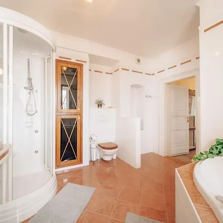 Magnificent Historical Penthouse In The Heart Of * Praha