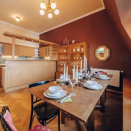 Magnificent Historical Penthouse In The Heart Of Apartmán Praha